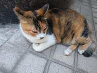 https://images.plurk.com/5lNJmXnFwZ9LYTlcquZbZi.jpg
