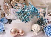 https://images.plurk.com/5lOZ7j58o3R8t8C71Gte2t.jpg