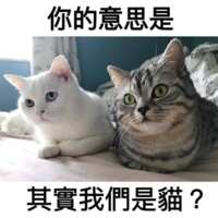 https://images.plurk.com/5lRzKMjayvdS5MmefnSpWo.png