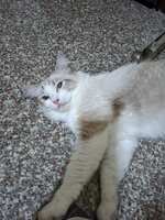 https://images.plurk.com/5lUJmvJ0wushNcPO0gspkv.jpg