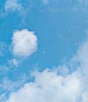 https://images.plurk.com/5le3mTHr0UicSqsQm9HjXs.jpg