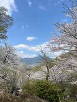 https://images.plurk.com/5lgMypLGz7W6sPMTvRr8Cl.jpg