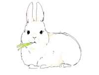 https://images.plurk.com/5lt9MbHZytyUUBTH1tPBg6.png