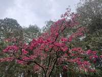https://images.plurk.com/5lyftvGBecXI52amFntHuO.jpg