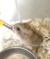 https://images.plurk.com/5mAM1rJyRgEKU1V3bklZhx.jpg