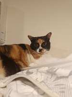 https://images.plurk.com/5mDqdY1j01Lyw6cS8PnwuB.jpg