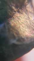 https://images.plurk.com/5mN3Vo5ATACSJQN8mwj2Hw.jpg