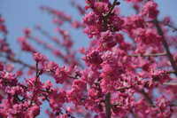 https://images.plurk.com/5mPo4Qgaopl4K2s6gDBpJ.jpg