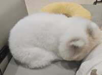 https://images.plurk.com/5mQ5ftygL7TVySXtozMOMI.jpg