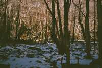 https://images.plurk.com/5mW5X1bfFkZVQKe3oF6at0.jpg