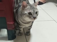 https://images.plurk.com/5mg96mZIeYI8v9iZcxpOg9.jpg