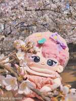 https://images.plurk.com/5moh9fzVGxTcOGa11GSshy.jpg