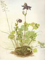 https://images.plurk.com/5msT52ioLLL8vNqQkHw0Ao.jpg