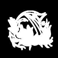 https://images.plurk.com/5n12k6IdJ4ZCkmaMmwUc1g.png