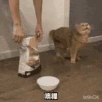 https://images.plurk.com/5n45bjKqbkrzFtTm1PAaFV.gif