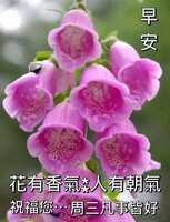 https://images.plurk.com/5n6Z65ghB8VQIKnuKdNstQ.jpg