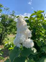 https://images.plurk.com/5n765Zw3qXxTWmoCoPzcIg.jpg