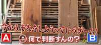 https://images.plurk.com/5nJEs7M8JJT4Bl0eI4sQsJ.jpg