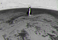 https://images.plurk.com/5nR18QvJKdT9F44qK45iIJ.jpg