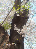 https://images.plurk.com/5nc7SkxvhUGyT12SF52Boj.jpg