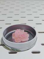 https://images.plurk.com/5nf3WtMPHpFqRfhIfnUyL8.jpg