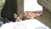 https://images.plurk.com/5ngc8YV7v6IOTOZDXFcQbP.jpg