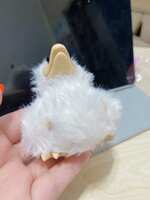 https://images.plurk.com/5ngzI9VSNNiLguwP0Z8nkt.jpg