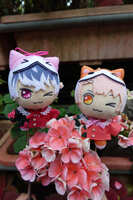 https://images.plurk.com/5nhKtAbLQlowWRcJAtPA7t.jpg