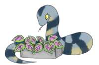 https://images.plurk.com/5oBg8GjlHf3uTfFylrQINB.png