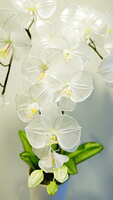 https://images.plurk.com/5oGZmUv5GY2Rliow6rInwq.jpg