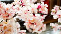 https://images.plurk.com/5oOqwzrhoAq0YQ8KG6ncb1.jpg