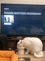 https://images.plurk.com/5oSY3cpsMDNg2h76p3osKF.jpg