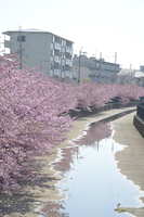 https://images.plurk.com/5oYLxVc7sBQv6lsxsufpAV.jpg
