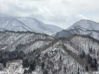 https://images.plurk.com/5odP7M3BJWLImQYpUZxDhG.jpg