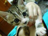 https://images.plurk.com/5oikRSEvu4Q802WR2gsez1.jpg