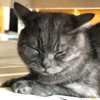 https://images.plurk.com/5ojl0drvaFgSZkcnx0YOYH.jpg