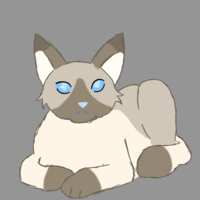 https://images.plurk.com/5omUnIQNr1aUki3VLV6Vfi.png