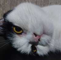 https://images.plurk.com/5omdS0PJTCkb7gcRA1hdSs.jpg