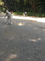 https://images.plurk.com/5onfZmSBdMWu2IEAC5B1.jpg