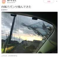 https://images.plurk.com/5oqZQPROEIS2Y0s4x8Ggt6.jpg