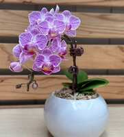 https://images.plurk.com/5otbQFyaRx3c4cGEO8aKhB.jpg