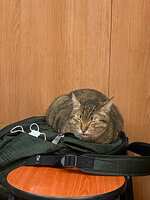 https://images.plurk.com/5pH1aUHTnmCb1tkLNcWRC.jpg