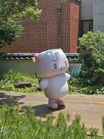 https://images.plurk.com/5pIHhtWcMDi9whMYi4NmY9.jpg