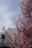 https://images.plurk.com/5pLTCwMloivtc88lLyxolz.jpg