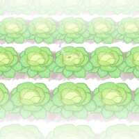 https://images.plurk.com/5pNEy92CH5A8x6SgnNKXmS.png