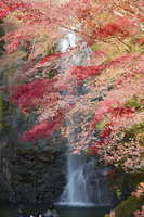 https://images.plurk.com/5pStwZS3lyiWxHYTgQ9NWJ.jpg