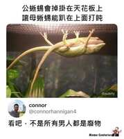 https://images.plurk.com/5pTbbhl6nzaZthGQZxt4LW.jpg