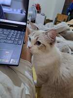 https://images.plurk.com/5pUku9KecoaaT9xBBiBm8E.jpg