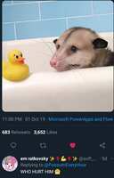 https://images.plurk.com/5paMAAJ9SYJcmcUEmLjBOT.jpg