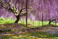https://images.plurk.com/5pdWc6hLDoHrKYiGltf4aQ.jpg